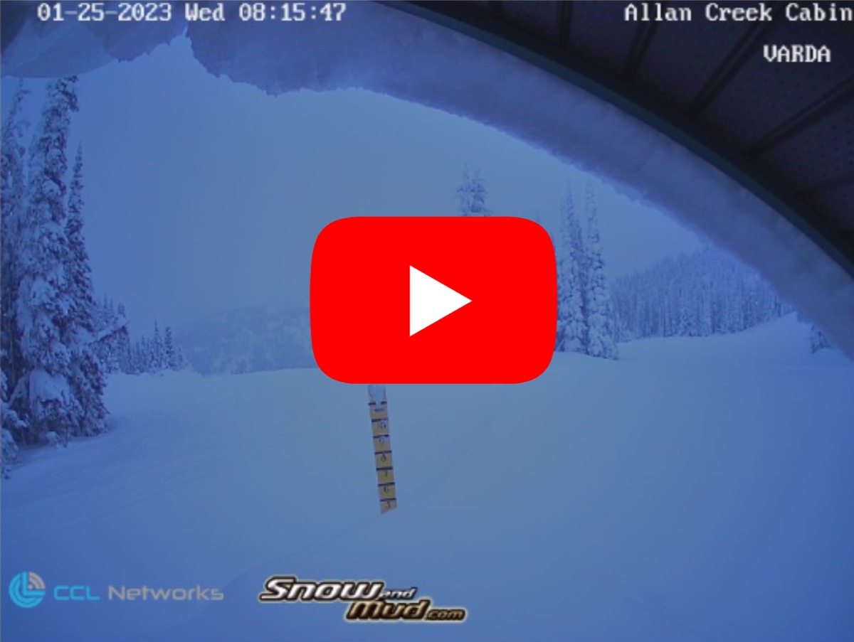 Allan Creek Cabin Webcam