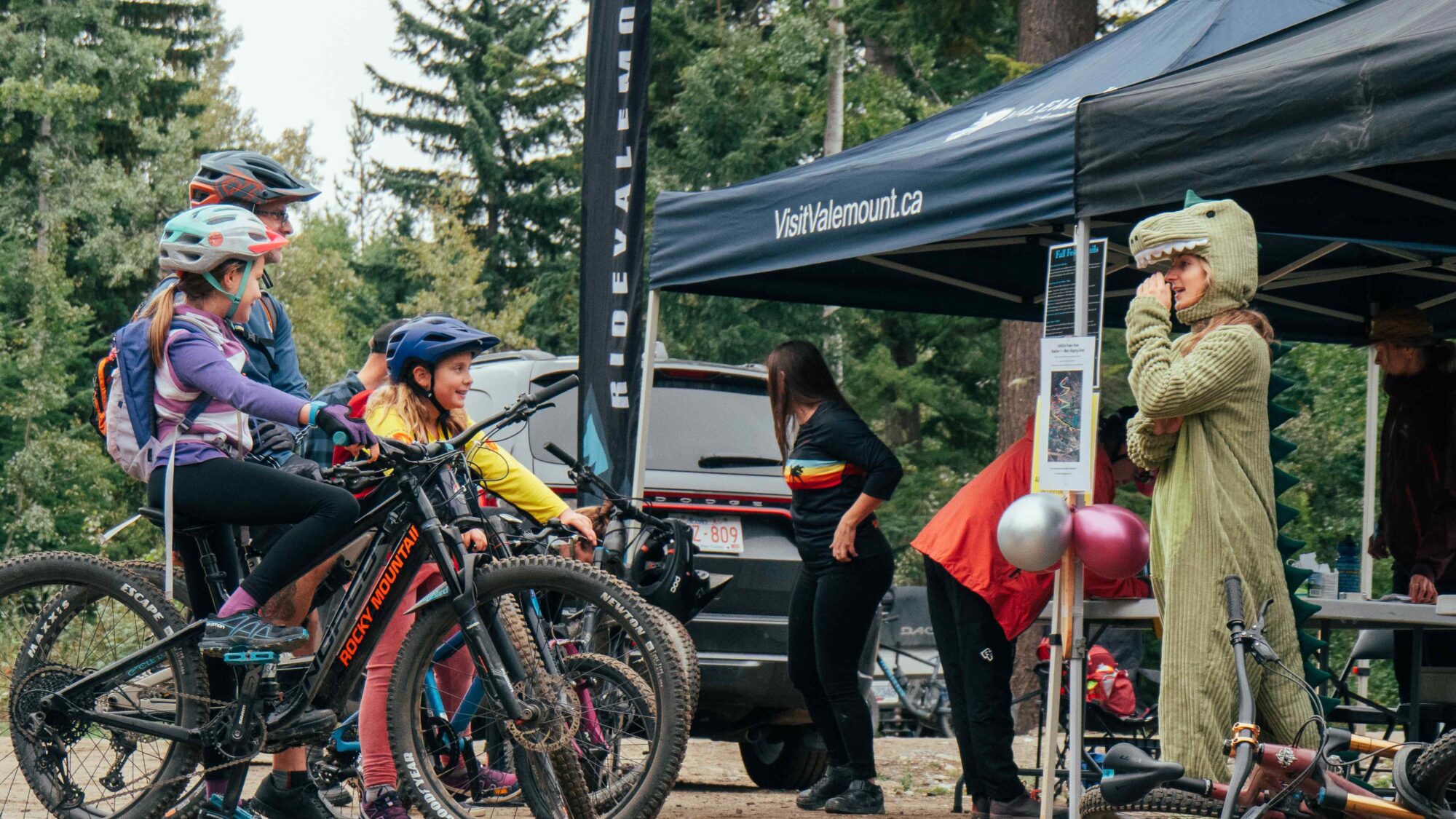 Best Western Plus Valemount