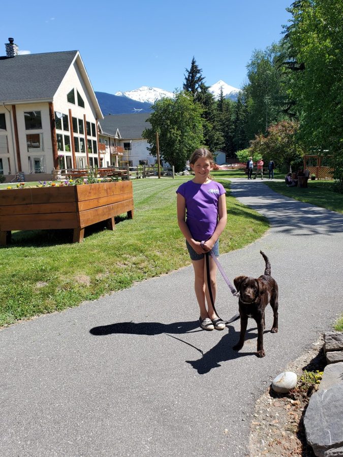 Girl walking dog alongside the trails on property at the Best Western Plus Hotel In Valemount.