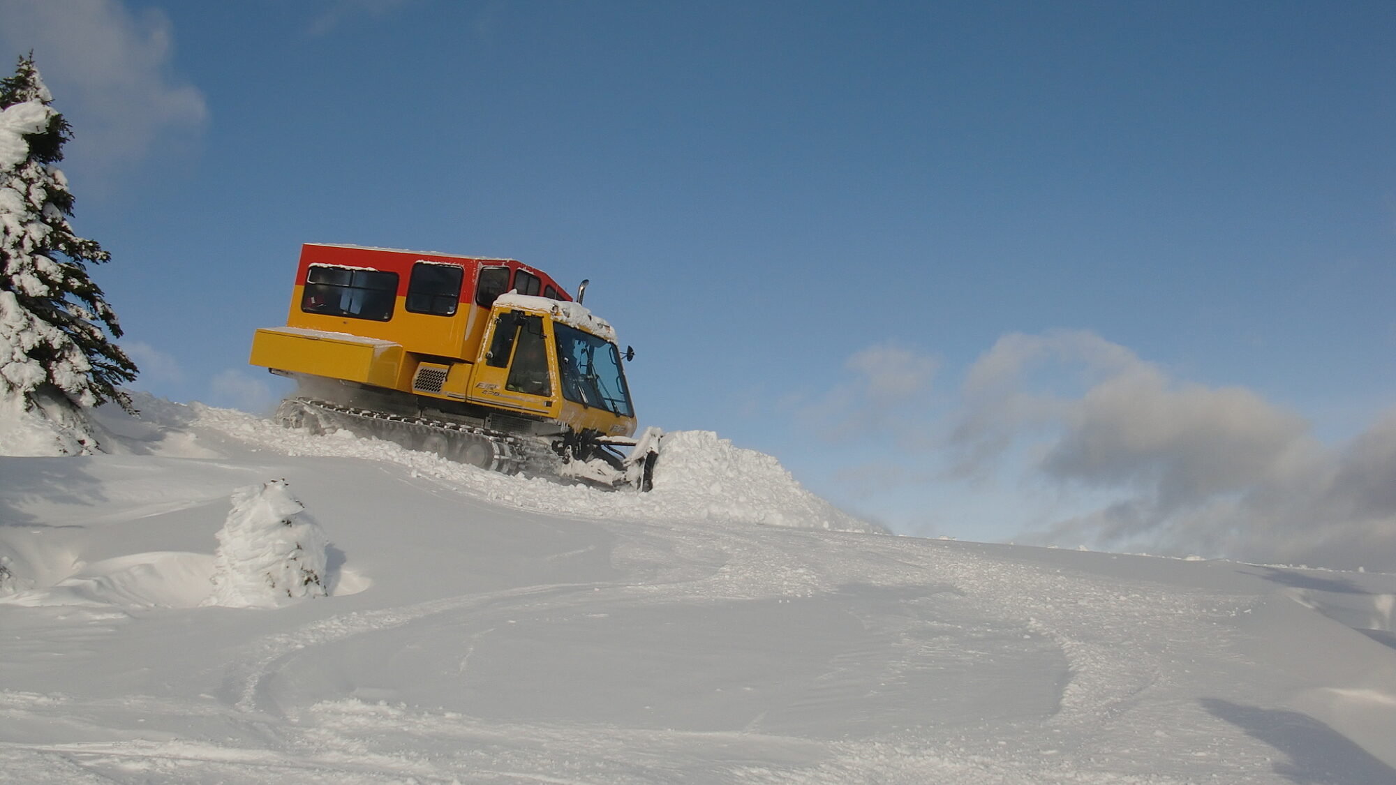 Cariboo Cat Skiing