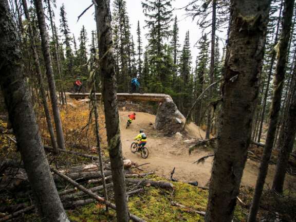 Mountain bikers riding a forested bike park trail with wooden features