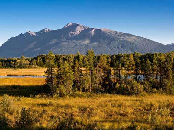Cranberry Marsh wetlands with grassy fields, forest, and mountain backdrop near Valemount
