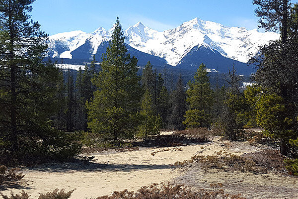 Jackman Flats Provincial Park Trail in Valemount, British Columbia