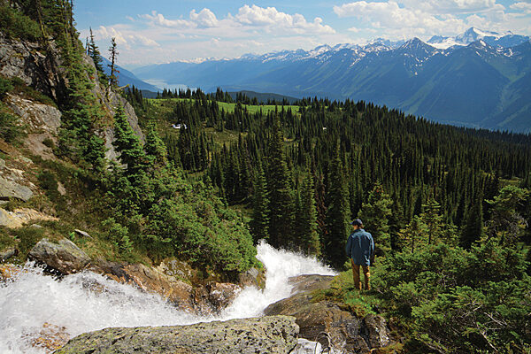 Lily Meadows Trail in Valemount, British Columbia