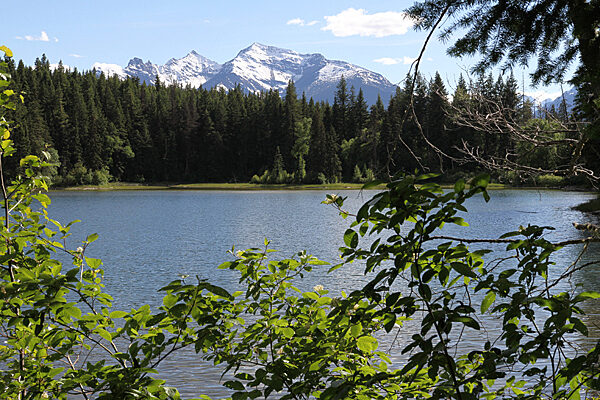 Little Lost Lake Hiking Trail in Valemount, British Columbia