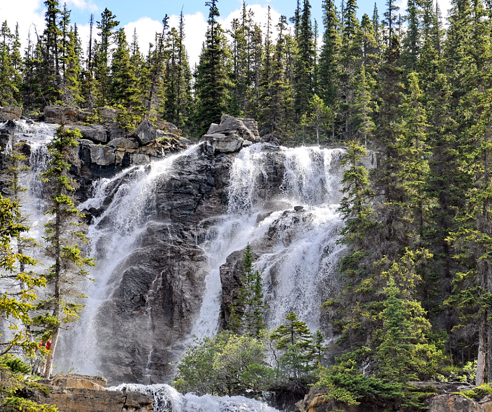 Tangle Creek