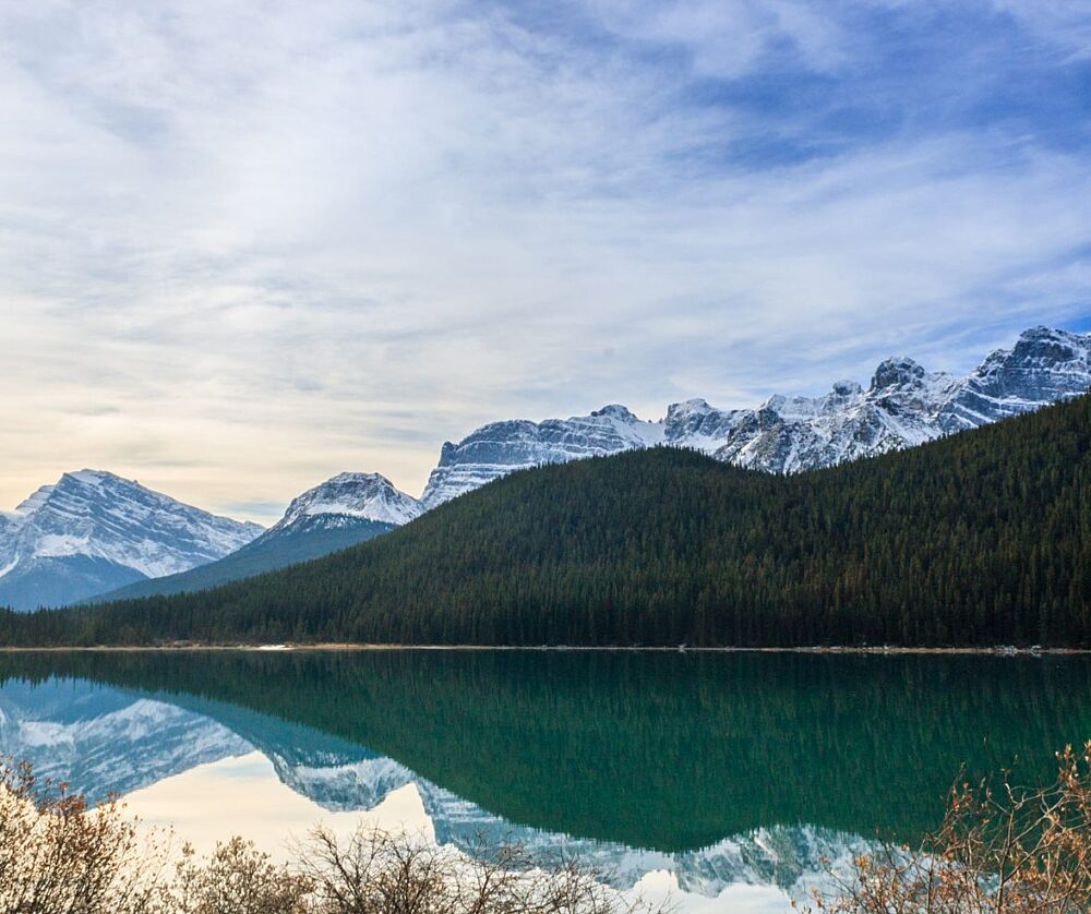 Waterfowl Lakes