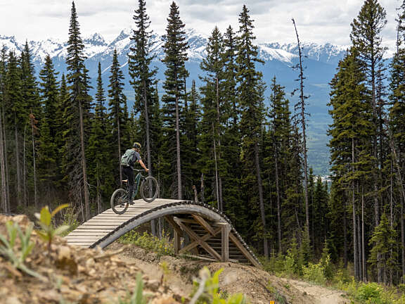 Cyclist riding a mountain bike trail surrounded by trees